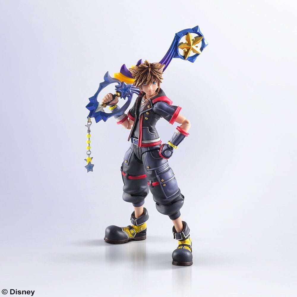 pirate sora bring arts