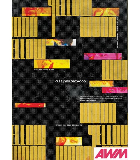 Stray Kids Special Album - Cle 2 Yellow Wood Normal Ver.